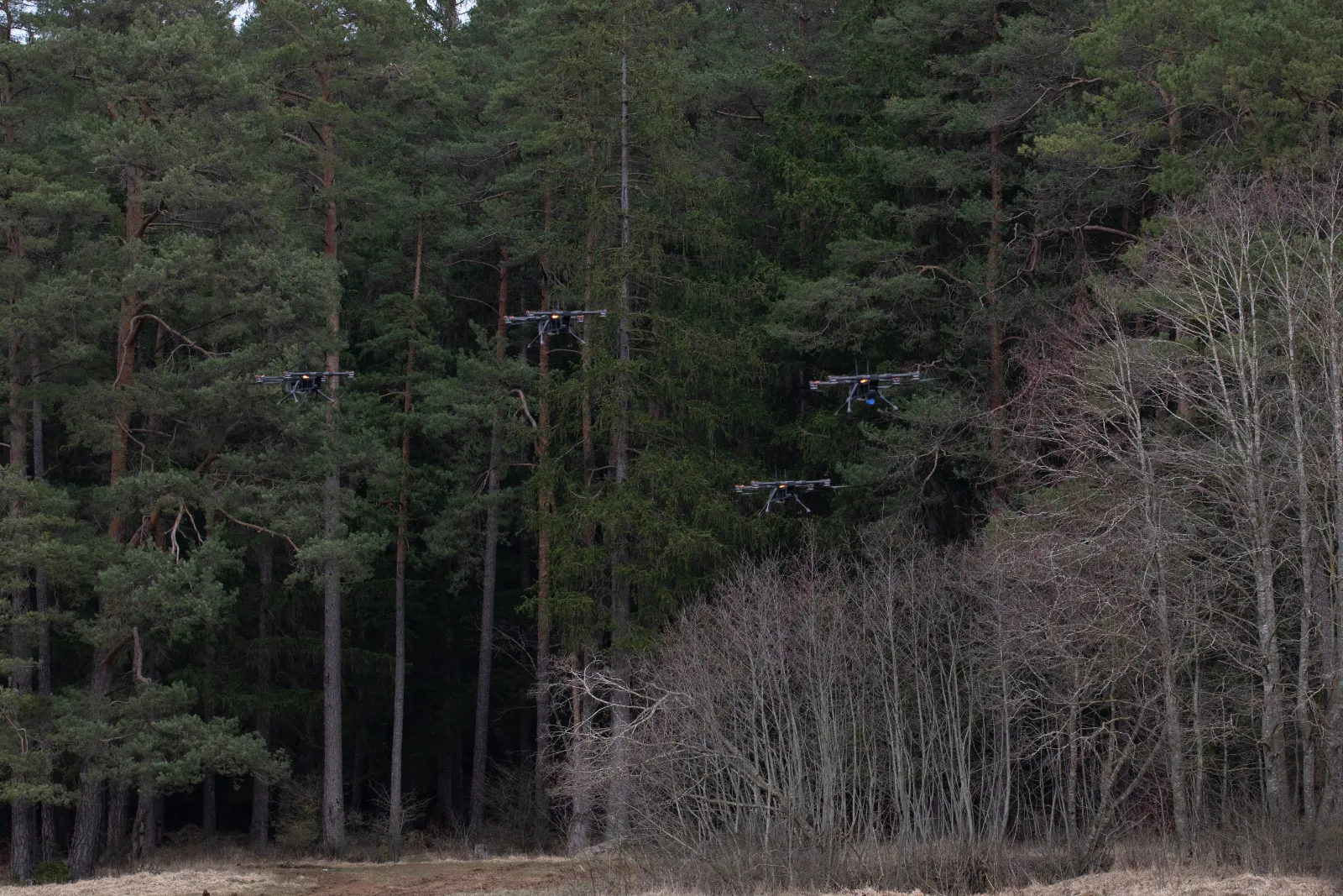 A swarm of drones flying over a dense forest, illustrating the proliferation of unmanned aerial vehicles in modern warfare.